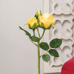 Blooming Soft Yellow Roses Pick
