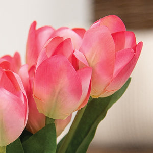 Pink Blooming Tulips Bush