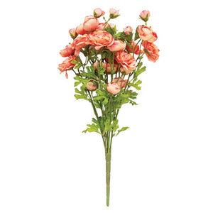 Coral Ranunculus Bush