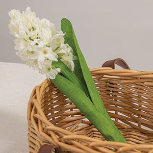 White Hyacinth Stem