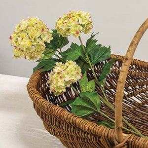 Yellow Snowball Hydrangea Spray