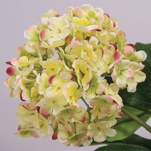 Yellow Snowball Hydrangea Spray