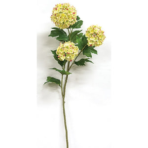 Yellow Snowball Hydrangea Spray