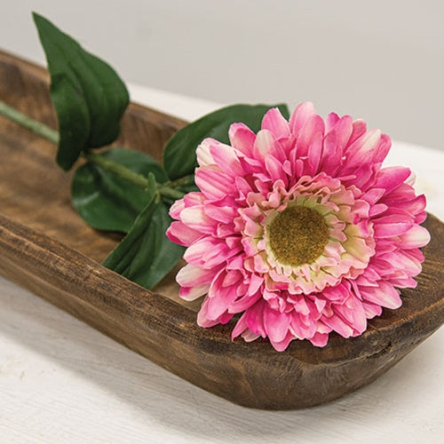 Pink Gerber Daisy Stem