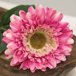 Pink Gerber Daisy Stem