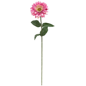 Pink Gerber Daisy Stem
