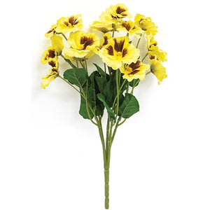 Yellow Pansy Bush