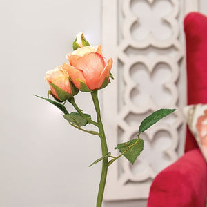 Blooming Peach Roses Pick