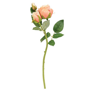 Blooming Peach Roses Pick