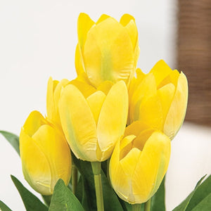 Yellow Blooming Tulips Bush