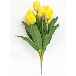 Yellow Blooming Tulips Bush