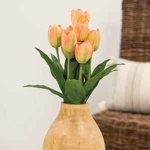 Peach Blooming Tulips Bush
