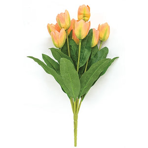 Peach Blooming Tulips Bush