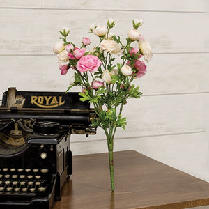 Pink & Cream Ranunculus Bush