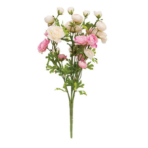 Pink & Cream Ranunculus Bush